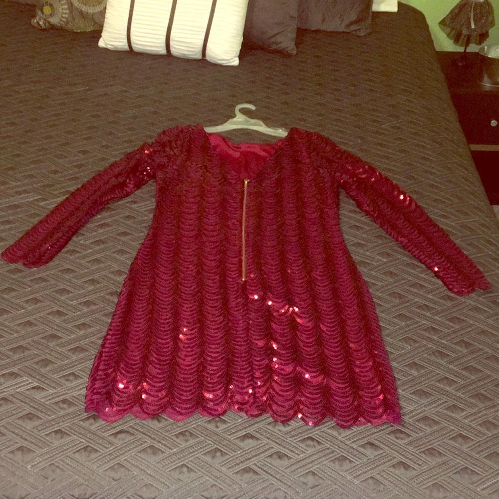 Deep red, sequin mini dress. Only worn once.